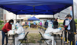 xx00视频,揭秘XX领域的精彩瞬间