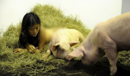 欧美女人与动物交配视频