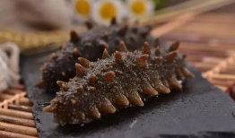 吃瓜爆料海参是真的吗,吃瓜爆料海参，真相究竟如何？